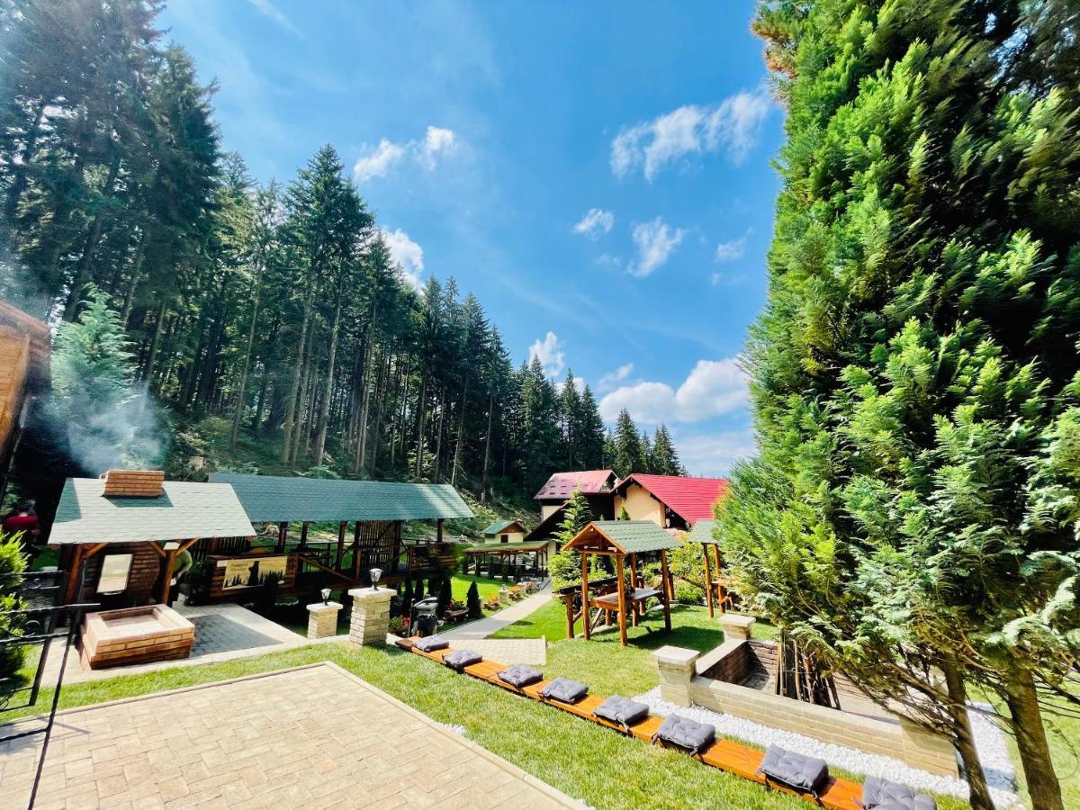 Boutique Hotel Casa Emil โปยานาบราซอฟ ภายนอก รูปภาพ