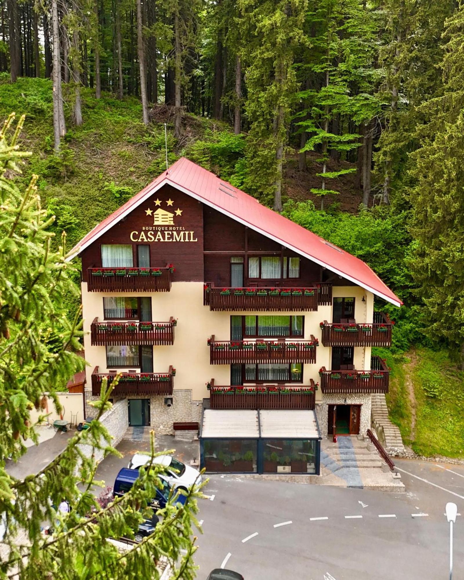 Boutique Hotel Casa Emil โปยานาบราซอฟ ภายนอก รูปภาพ
